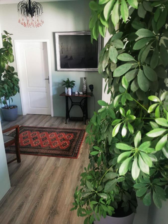Sombor 19 Central Apartment Экстерьер фото